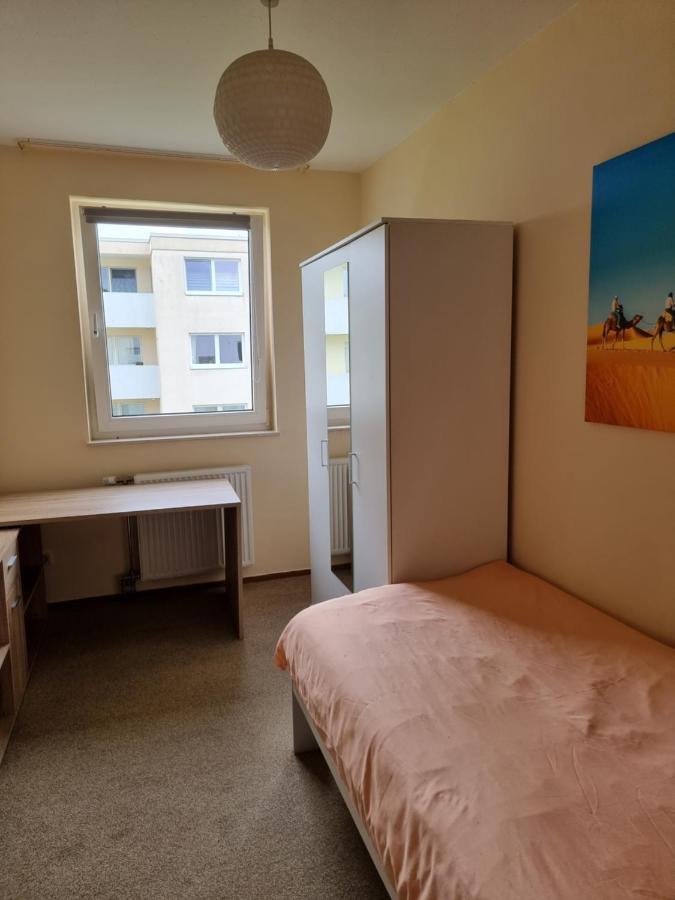 Onkel Tom Alpen & Sahara Apartment Paderborn Exterior photo